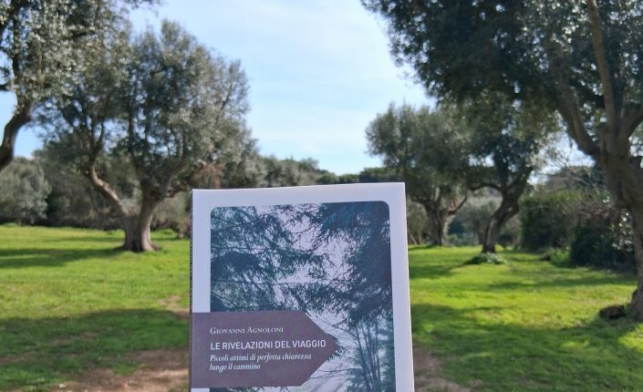 Quando la verità non è nel viaggio, ma nella consapevolezza che un viandante ti ha risvegliato parlando di sè, di noi… “Le rivelazioni del viaggio” e ti accorgi di essere osservato